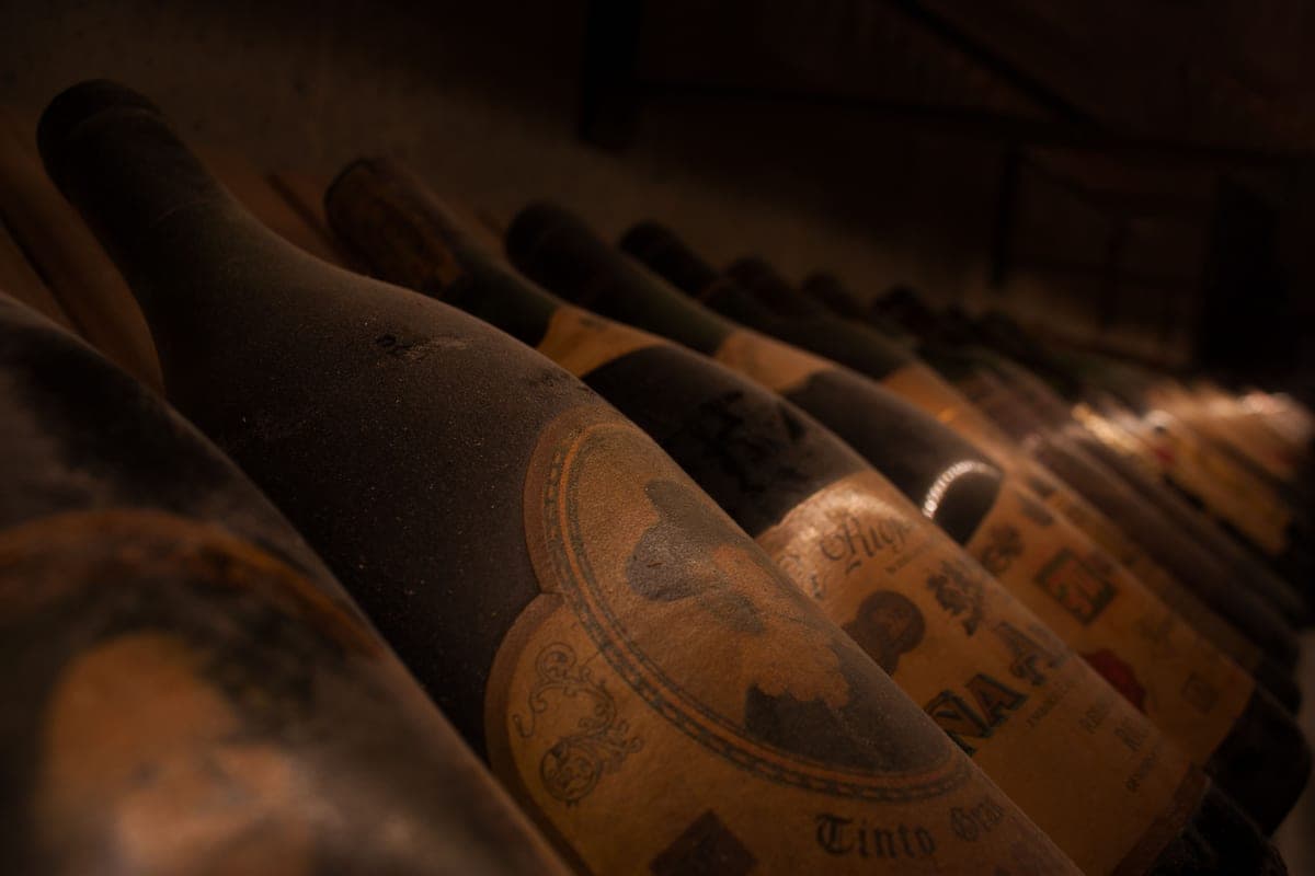 Dusty old wine bottles resting in a cellar